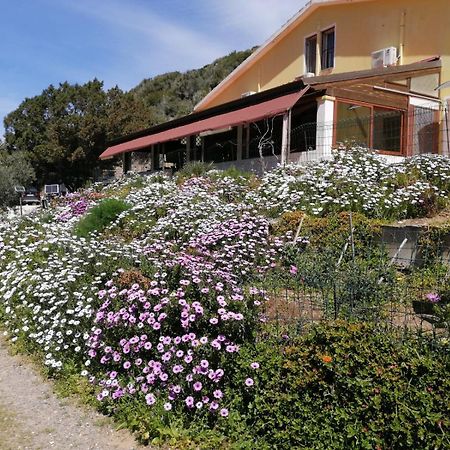 Il Lentischio Hotell Cala Sapone Exteriör bild