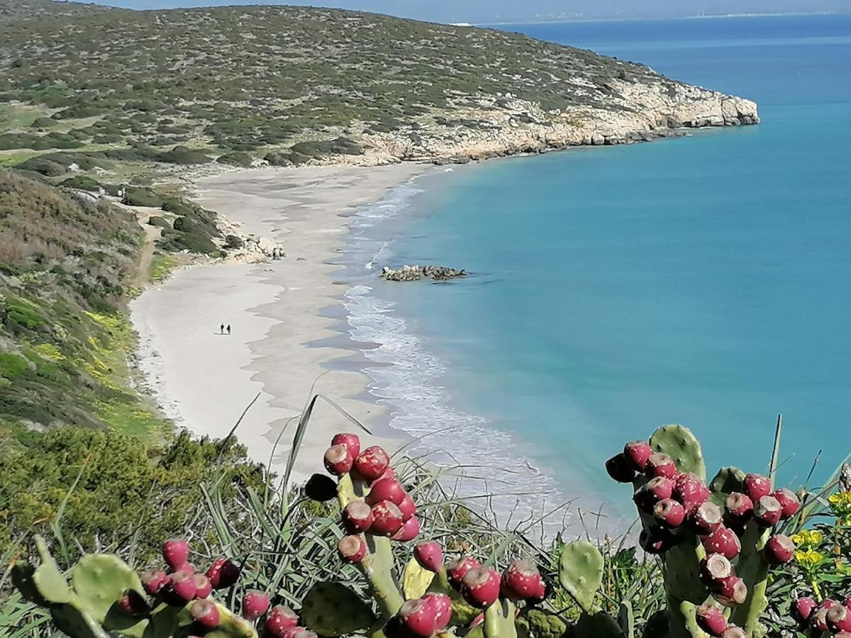 Il Lentischio Hotell Cala Sapone Exteriör bild