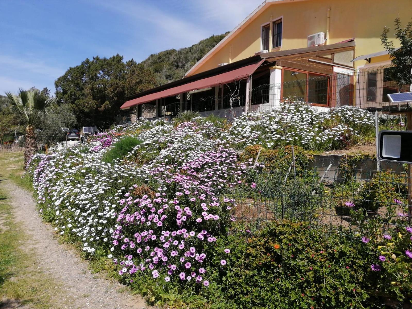Il Lentischio Hotell Cala Sapone Exteriör bild